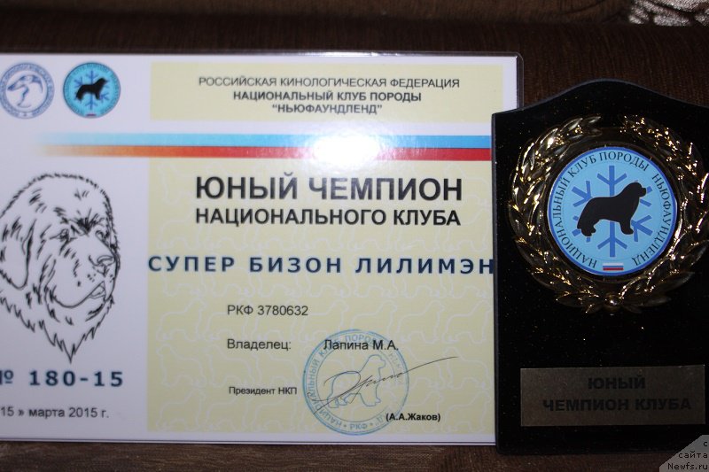 Фотография № 177658