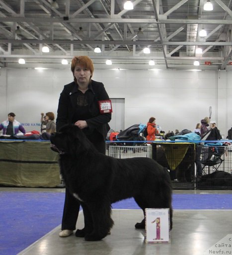 Фотография № 177659