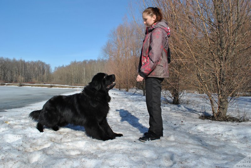 Фотография № 177660