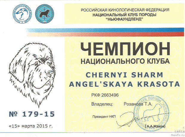 Фотография № 177672