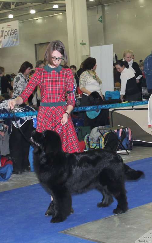 Фотография № 177679