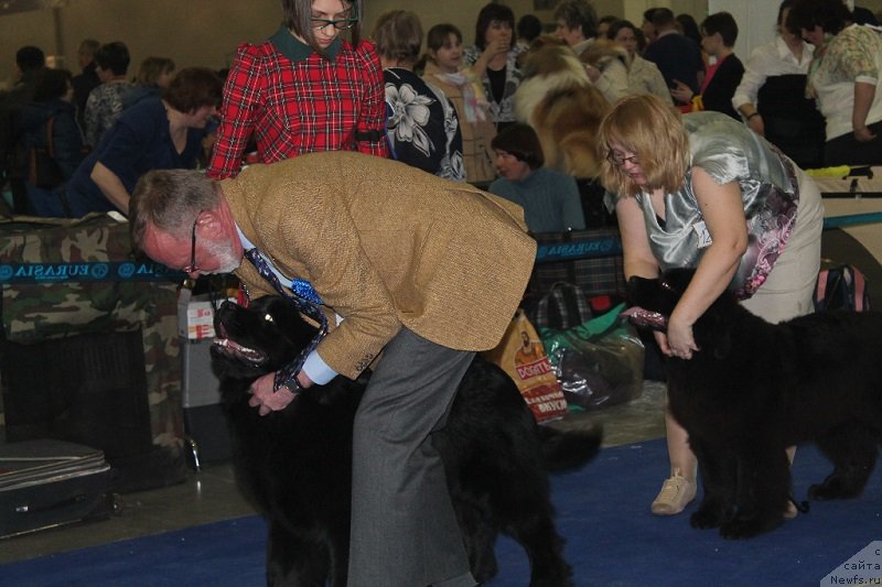 Фотография № 177681