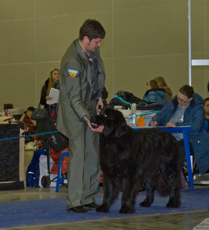 Фотография № 177701