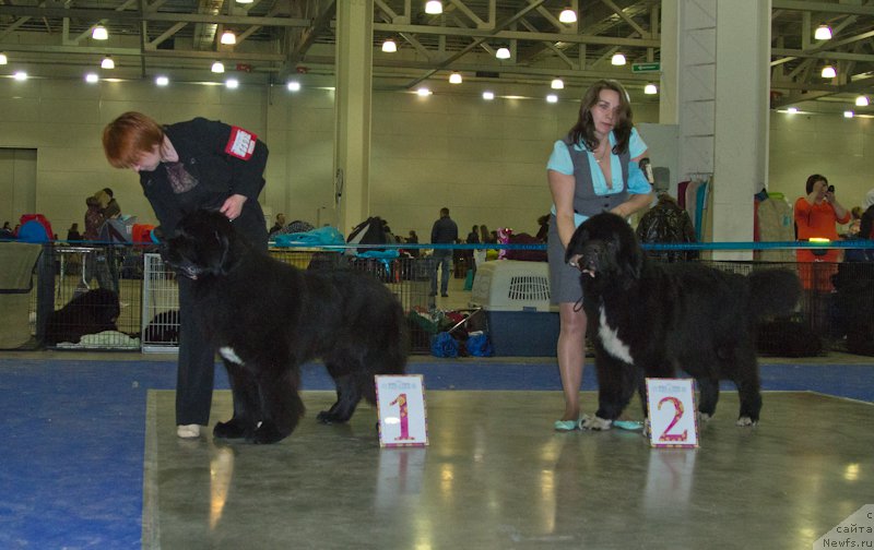 Фотография № 177704