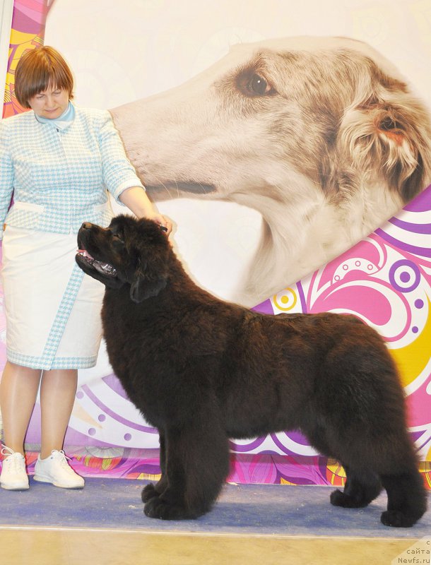 Фотография № 177705