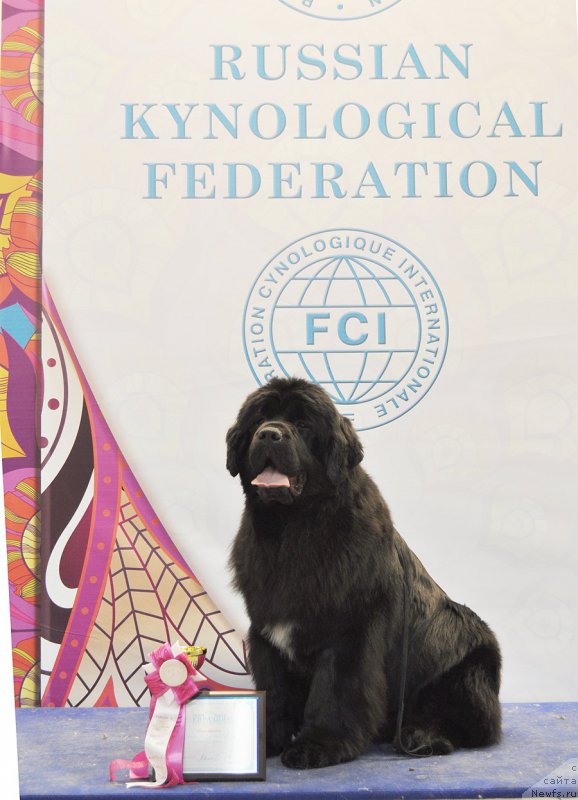 Фотография № 177708