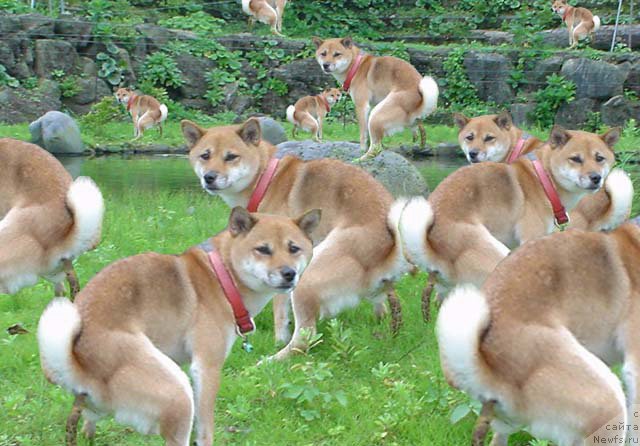 Фотография № 177710