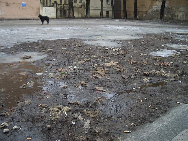 Фотография № 177711