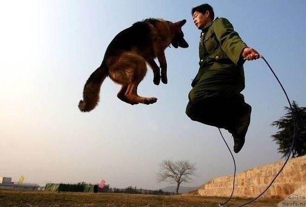 Фото: Сергей Жуков