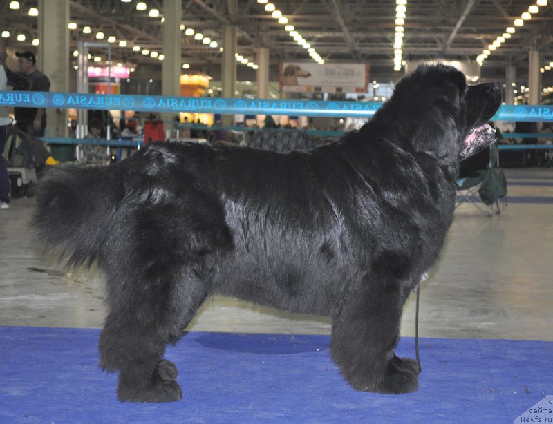 Фотография № 177724