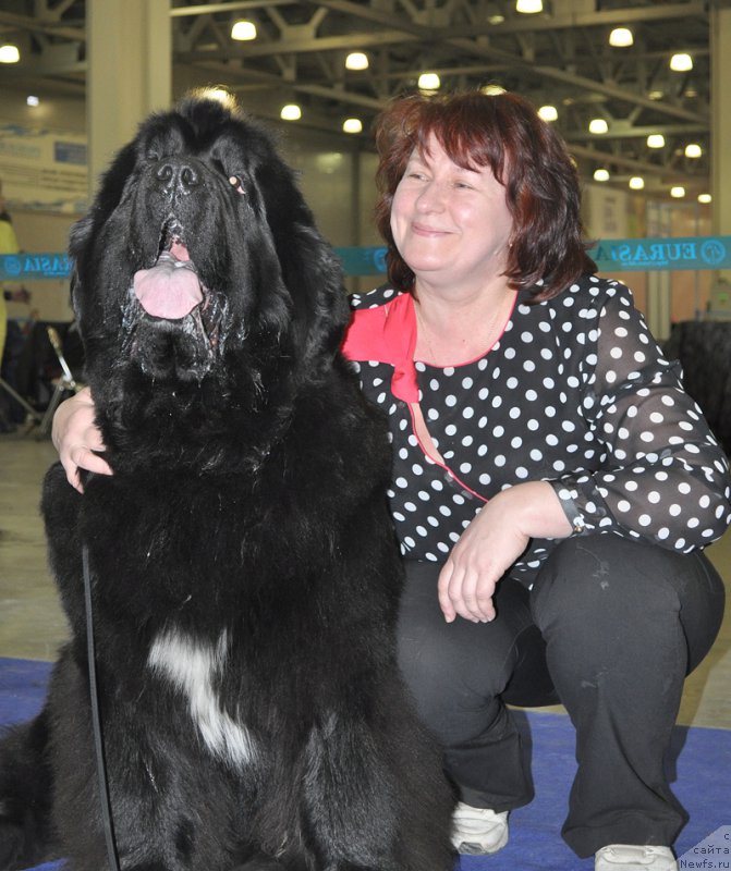 Фотография № 177725