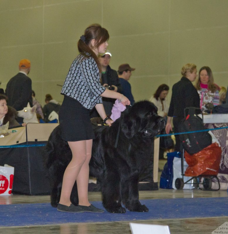 Фотография № 177739