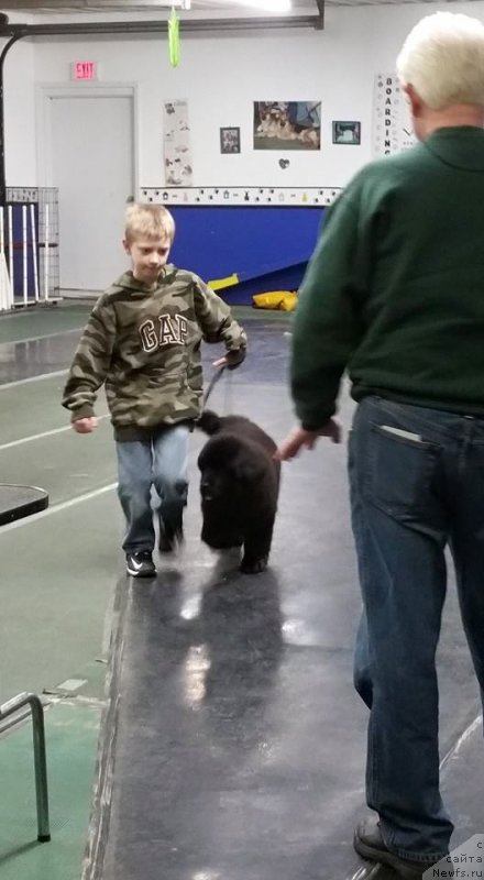 Фотография № 177742