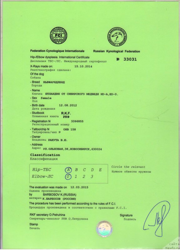 Фотография № 177749