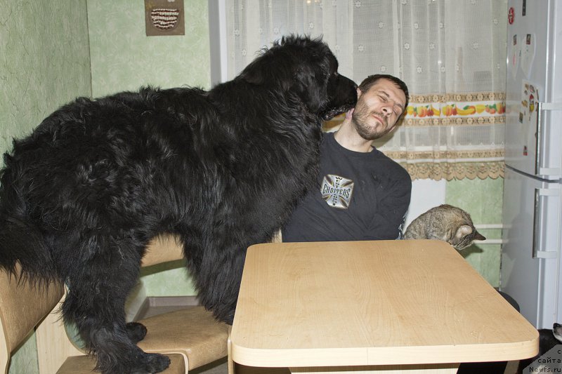 Фотография № 177750