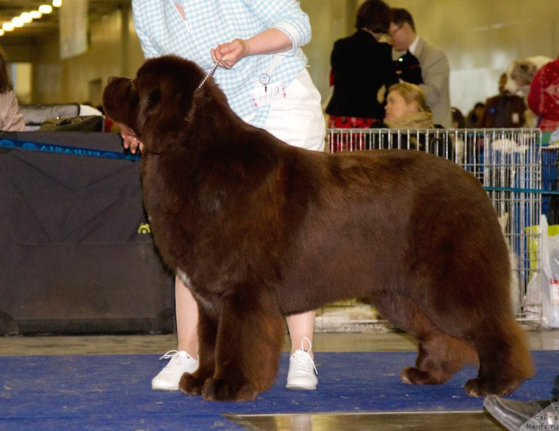 Фотография № 177759