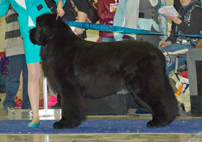 Фотография № 177760