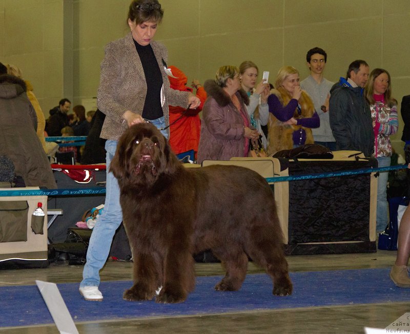 Фотография № 177765