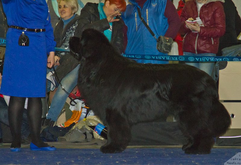 Фотография № 177771