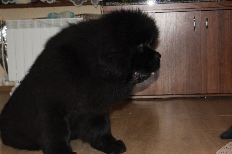 Фотография № 177778