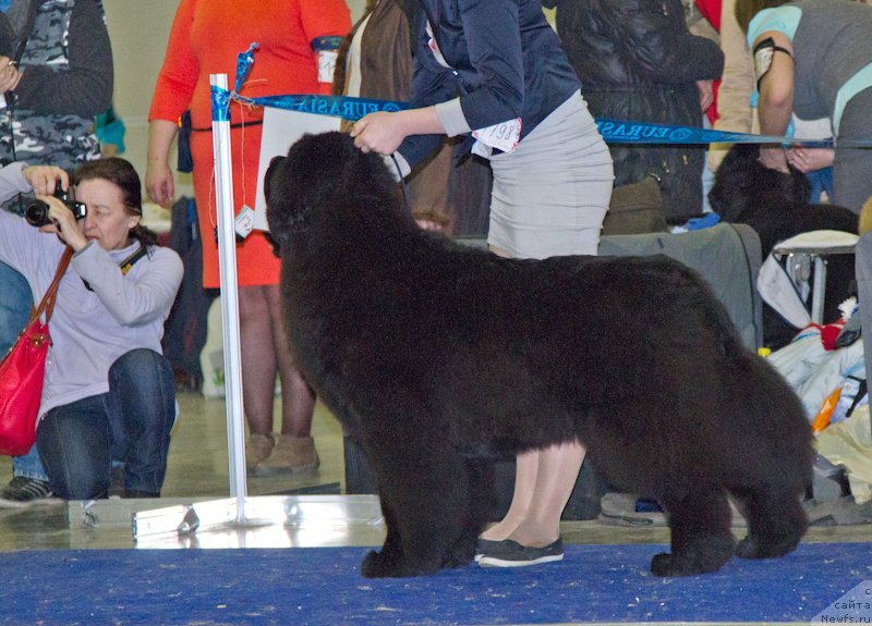 Фотография № 177781