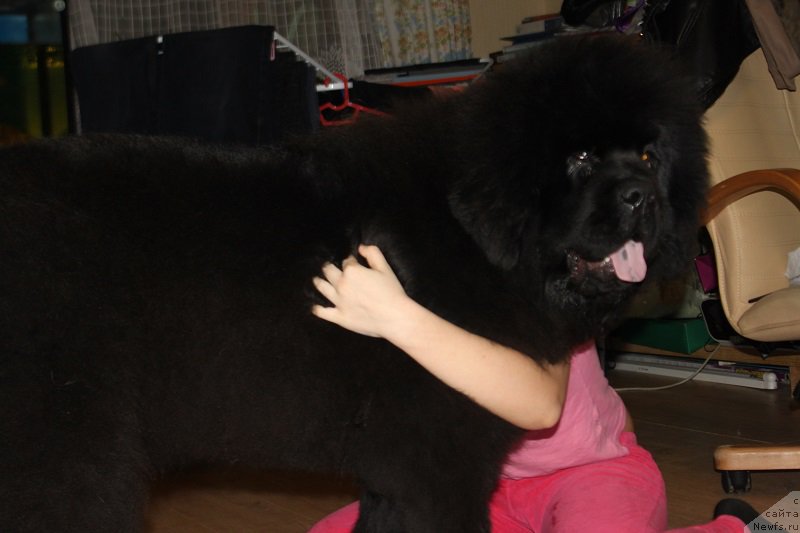 Фотография № 177784