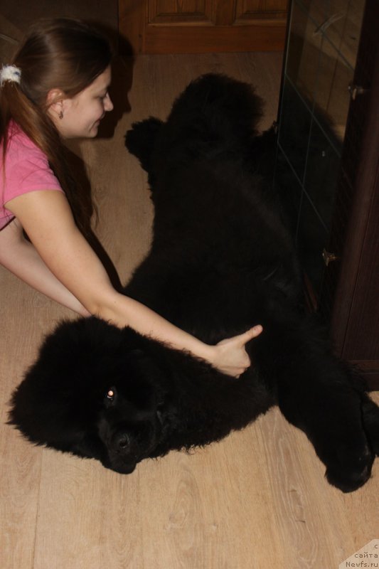 Фотография № 177785