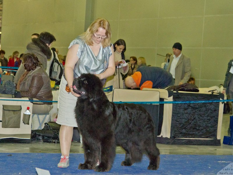 Фотография № 177818