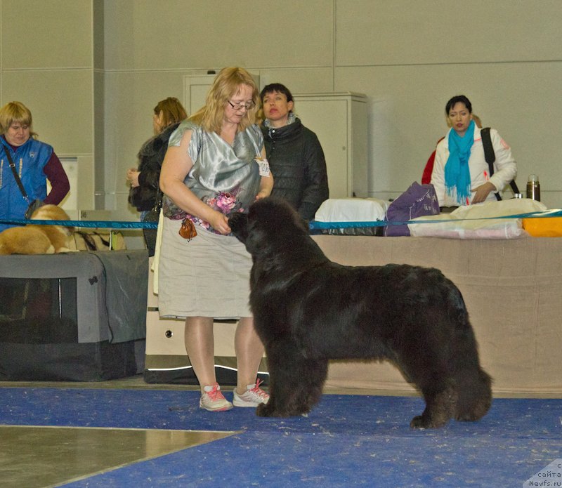 Фотография № 177822