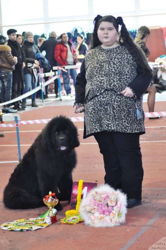 Фотография № 177828