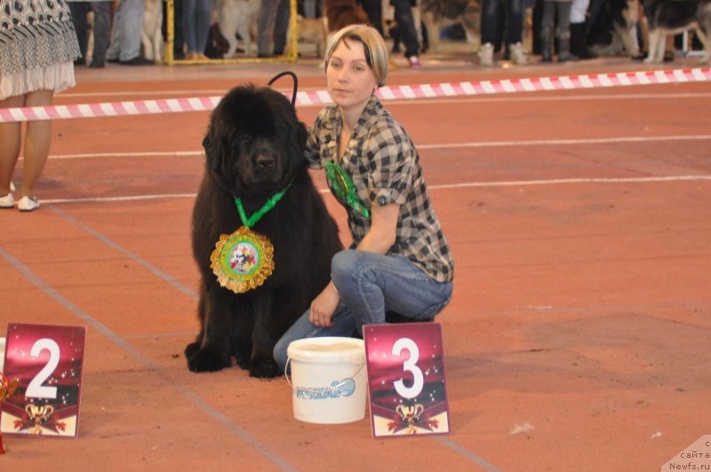 Фотография № 177834