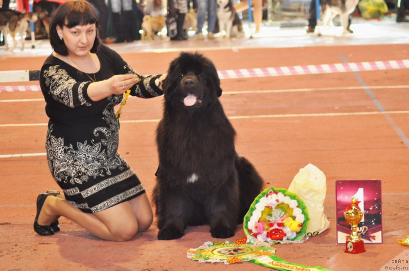 Фотография № 177835