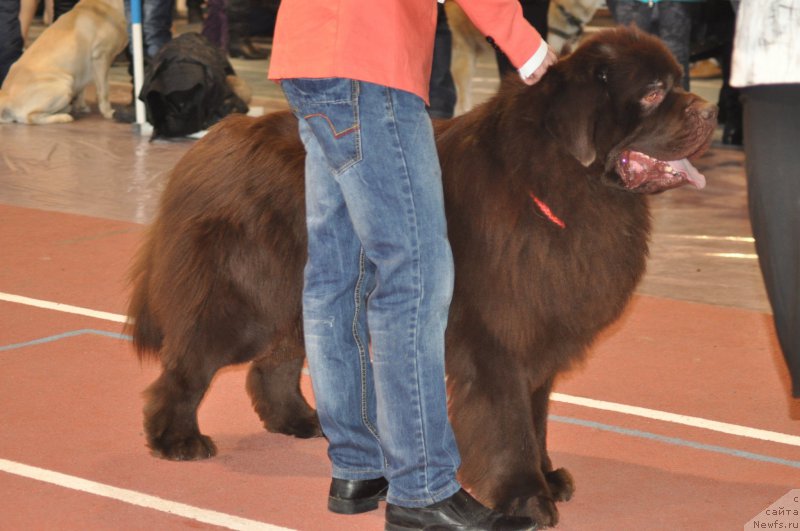 Фотография № 177839