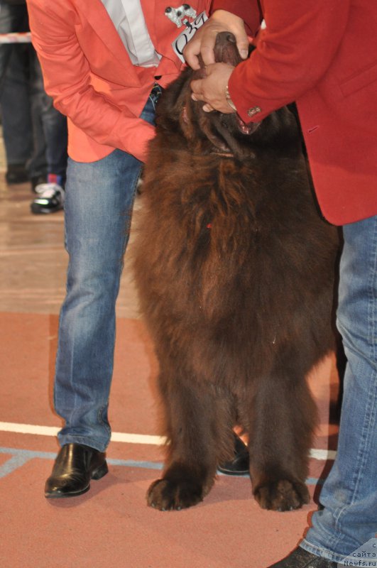 Фотография № 177840