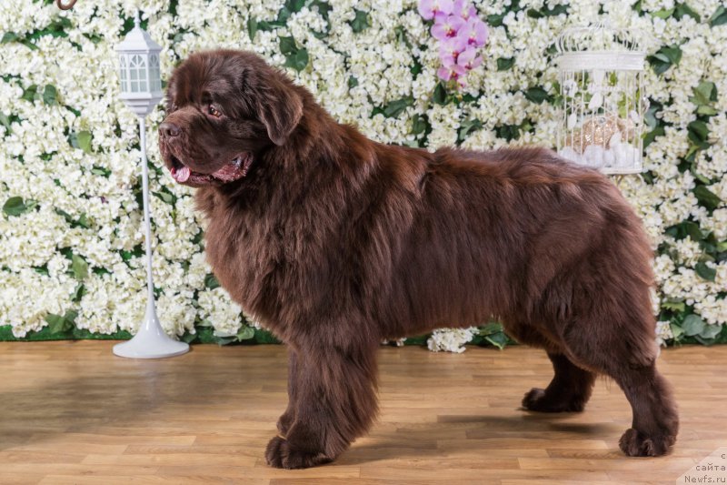 Фотография № 177841