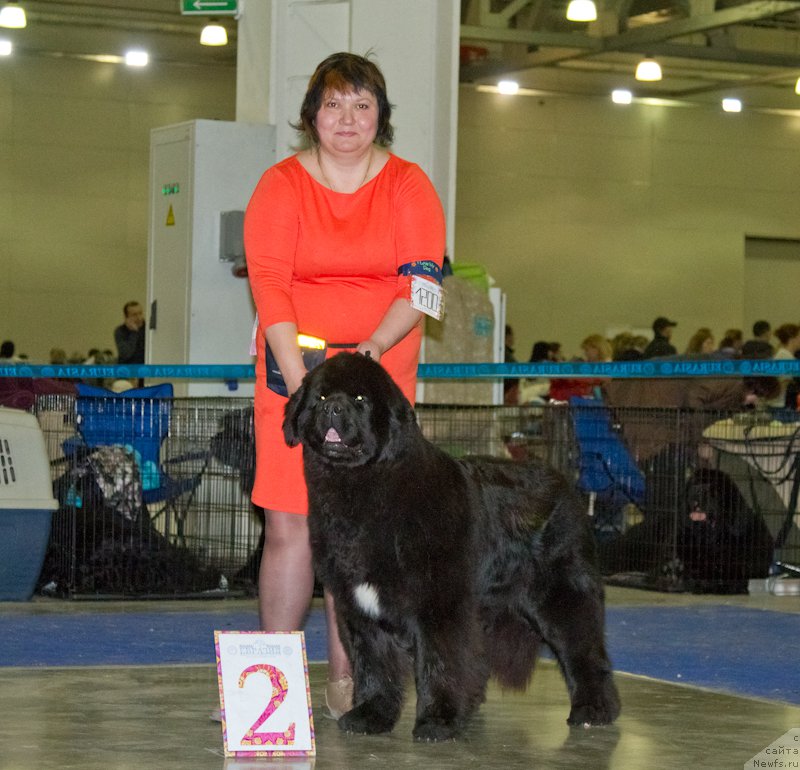 Фотография № 177848