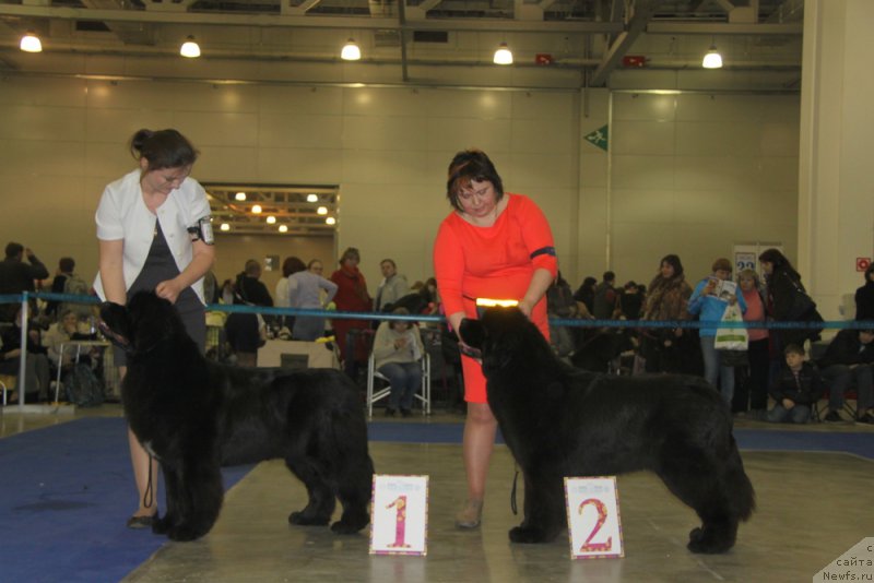 Фотография № 177854