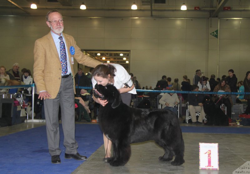 Фотография № 177857