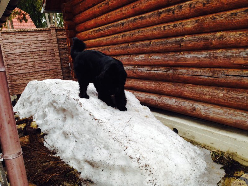 Фотография № 177885