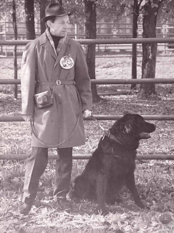 Фото: ньюфаундленд Глафи Рани