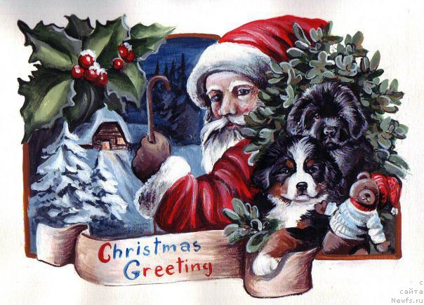 Фотография № 177951