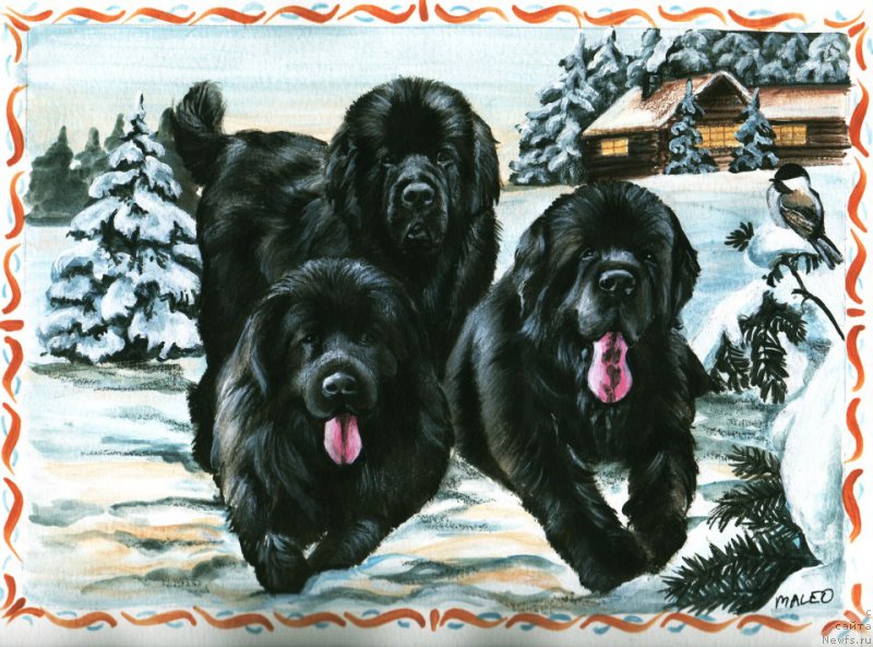 Фотография № 177961