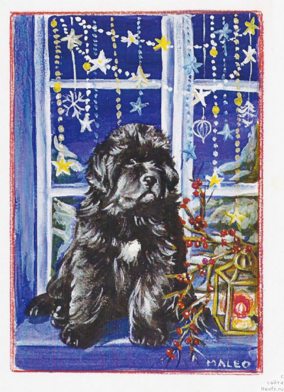 Фотография № 177965