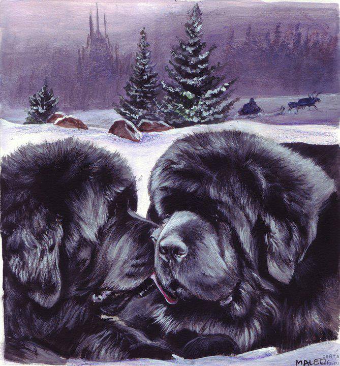 Фотография № 177971