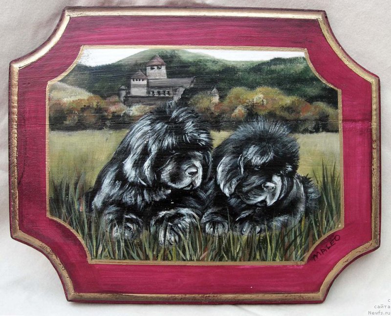 Фотография № 177972