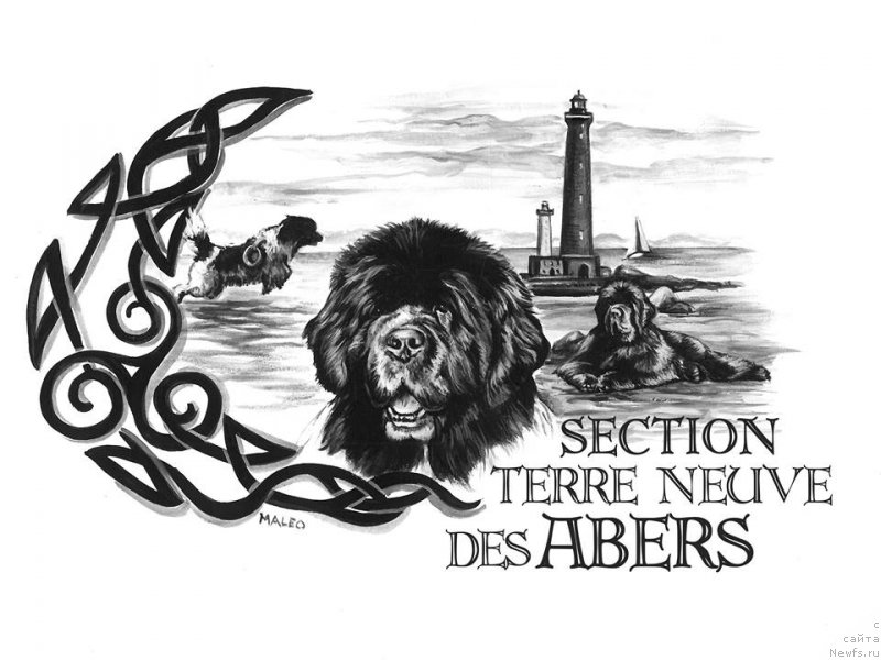 Фотография № 177975