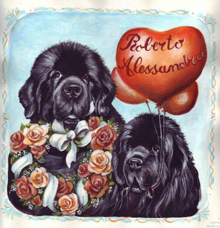 Фотография № 177984