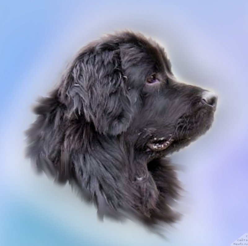 Фотография № 177989