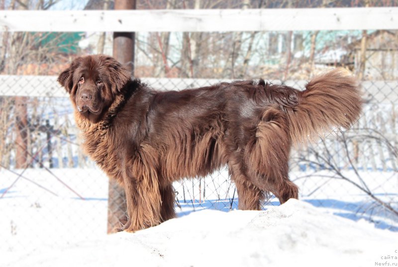 Фотография № 177990