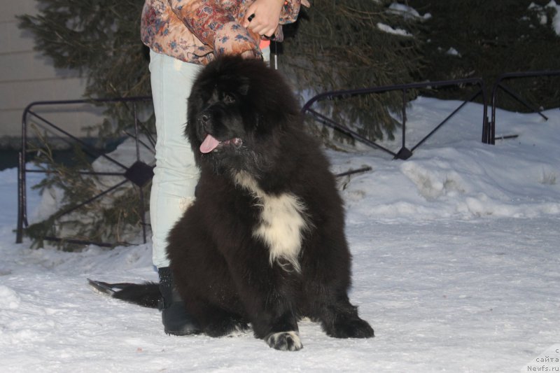 Фотография № 178014